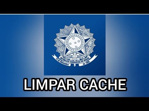 Dicas Práticas para Limpar sua Carteira Usando o Celular