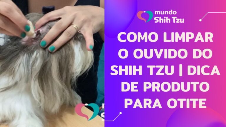 Como Limpar os Ouvidos do Shih Tzu de Forma Eficiente