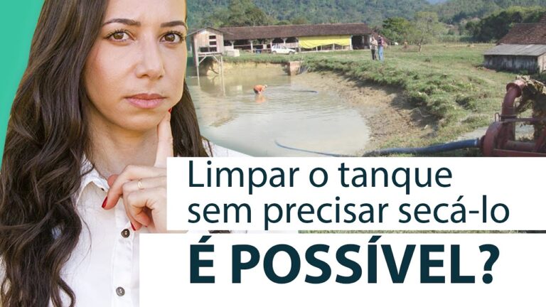 Como Limpar um Tanque com Terra Eficazmente