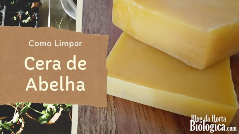 Dicas Eficazes para Limpar Cera de Abelha