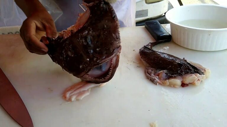 Como Limpar Peixe Sapo de Forma Eficiente