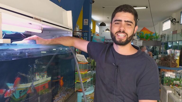 Como Fazer um Sif&atilde;o para Limpar Aqu&aacute;rio de Forma Eficiente