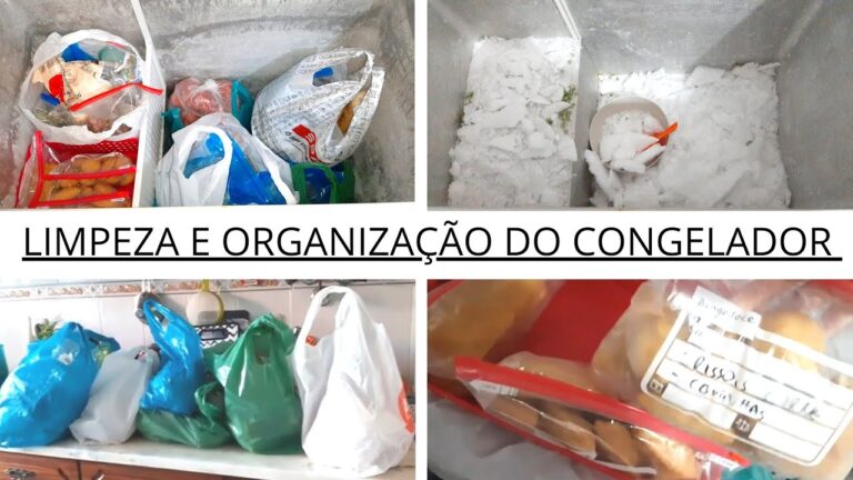 Guia Prático para Limpar Arcas Eficientemente