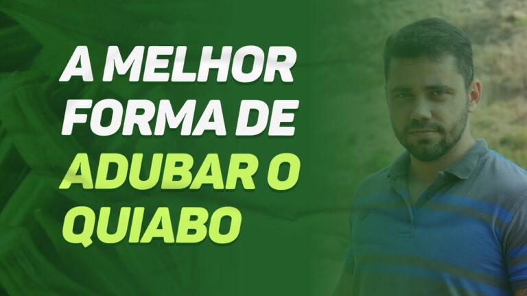 Como Limpar o L&iacute;quido Amni&oacute;tico de Bovinos