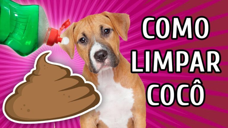 Guia Prático: Como Limpar Merda do Chão Eficazmente