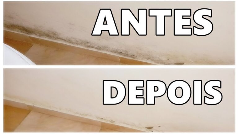 Como Limpar a Umidade nas Paredes
