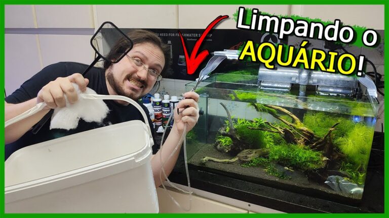 Guia Pr&aacute;tico para Limpar Aqu&aacute;rios de Camar&otilde;es