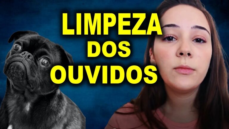 Como Limpar a Orelha do Cachorro com Soro Fisiol&oacute;gico