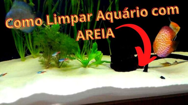 Dicas Pr&aacute;ticas para Limpar Areia de Aqu&aacute;rio